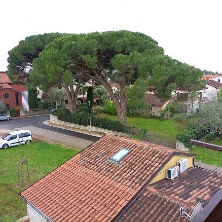 Apartments Ingrid Novigrad Istria エクステリア 写真
