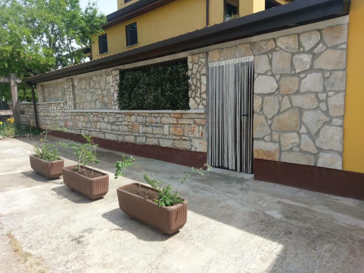 Apartments Ingrid Novigrad Istria エクステリア 写真
