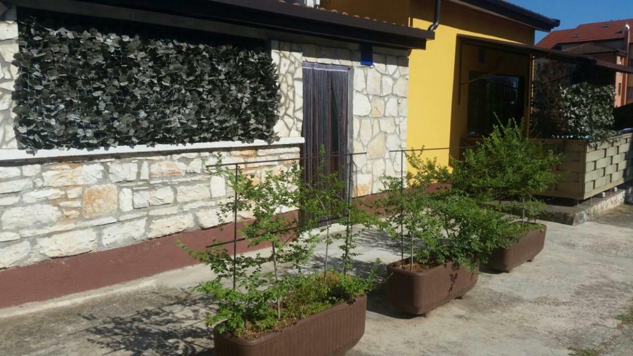 Apartments Ingrid Novigrad Istria エクステリア 写真