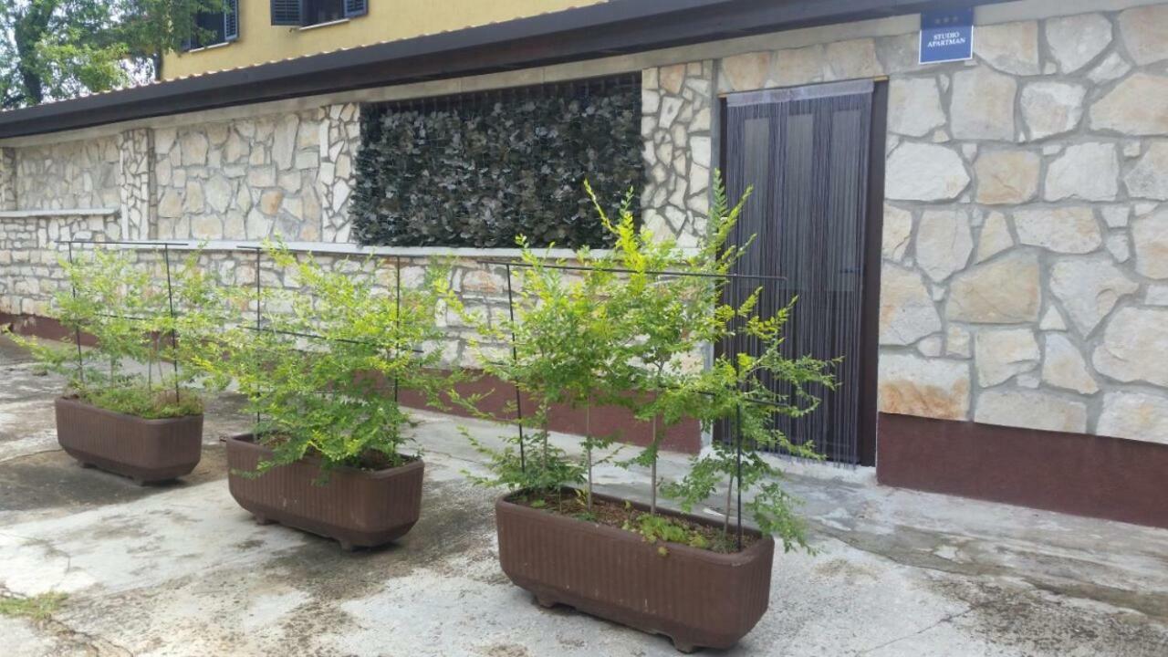 Apartments Ingrid Novigrad Istria エクステリア 写真